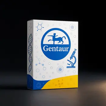 Gentaur BLU M SP-HNGE Tube FURN.1ZONE